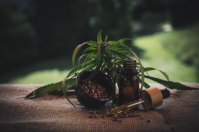 cbd-oil